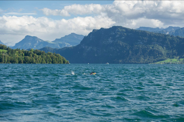 Lake Lucerne, better than swimming in Brixton Rec